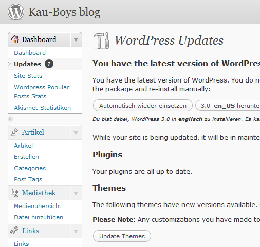 WordPress 3 nach Update